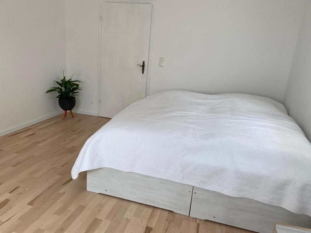 Ferienwohnung Diana Und Manuel ヴァインハイム エクステリア 写真