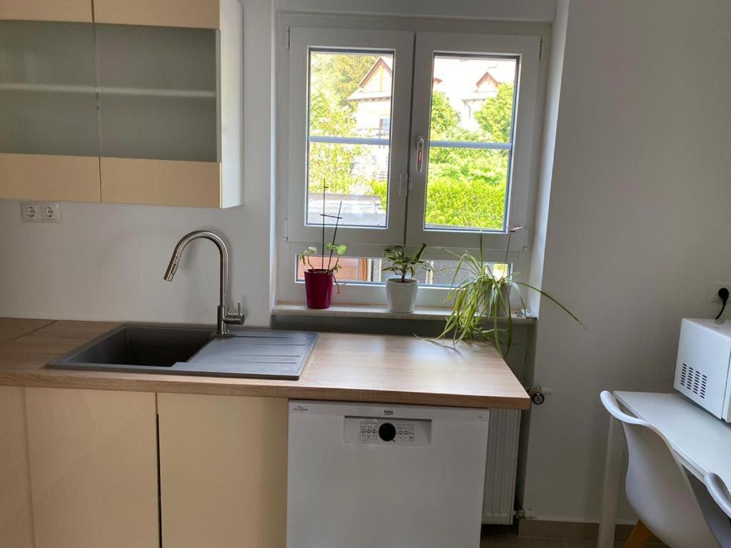 Ferienwohnung Diana Und Manuel ヴァインハイム エクステリア 写真